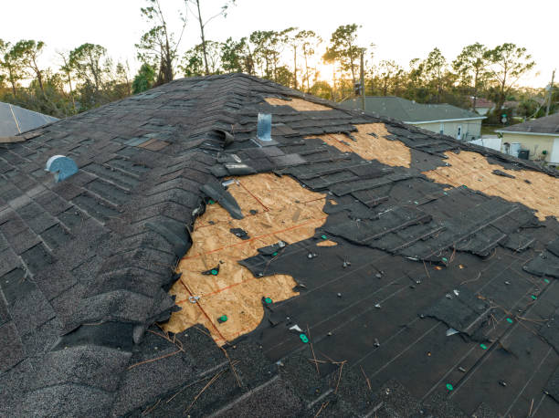 Best Roof Maintenance and Cleaning  in Sangaree, SC