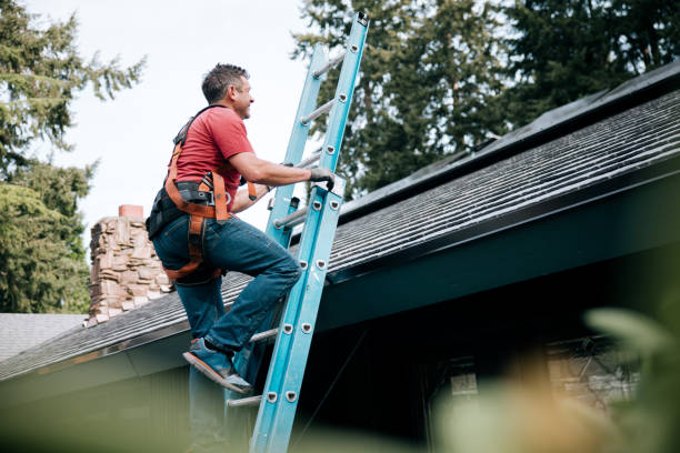 Best Roof Leak Repair  in Sangaree, SC